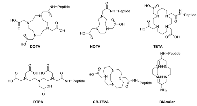 Peptides conjugated to metal chelates